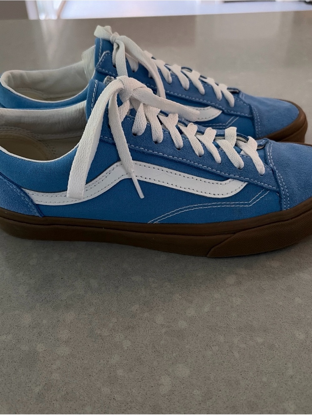 Vans Men's Low-Top Sneakers in Blue with White Stripe